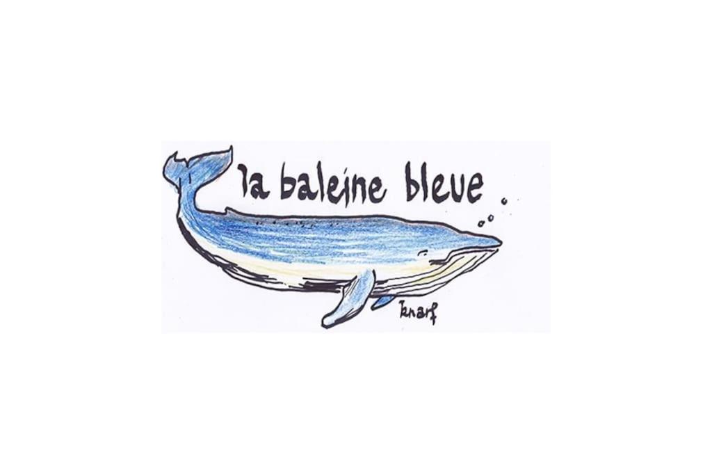 La Baleine Bleue Apartment Saint-Aubin-Sur-Mer  Luaran gambar